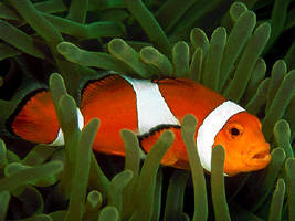 821fa74b50ba3f7cba1e6c53e8fa6845.jpg 821fa74b50ba3f7cba1e6c53e8fa6845.jpg