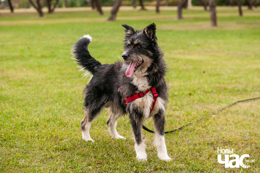 0022_2_logo.jpg 0022_2_logo.jpg