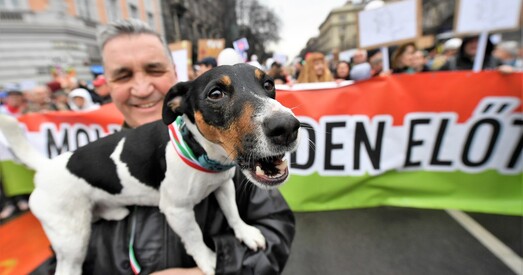 Ці баіцца Орбан сабакі з двума хвастамі?