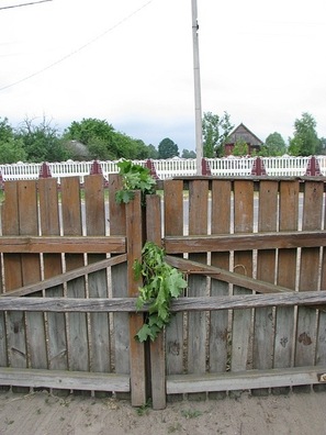 7/8 02_y_c5abca85_logo.jpg