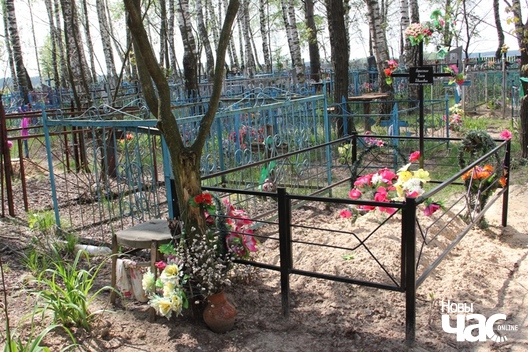 Вярба на могілках в. Крышычы
Калінкавіцкага р. Вялікдзень 2016 г Вярба на могілках в. Крышычы
Калінкавіцкага р. Вялікдзень 2016 г