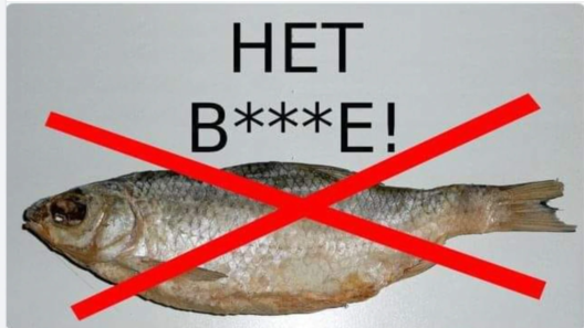 04020000_0aff_0242_22e7_08daad1f119d_w1200_r1.webp 04020000_0aff_0242_22e7_08daad1f119d_w1200_r1.webp