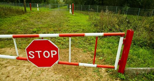 Мінабароны Літвы: каля чатырох-пяці тысяч нелегалаў блукаюць па лясах Заходняй Беларусі