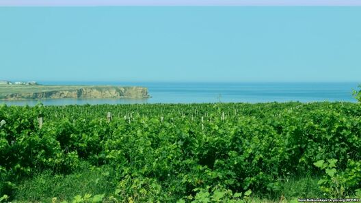 0ad5b3cc_72eb_4048_83ca_47cae21ef2c2_w1023_r1_s.jpg 0ad5b3cc_72eb_4048_83ca_47cae21ef2c2_w1023_r1_s.jpg