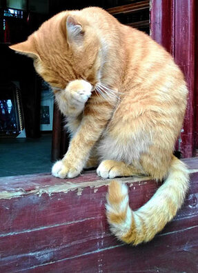 3/4 0cdfba32db2a4ccda4d6295cddd2b806.jpg