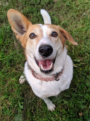 4/4 0ol5m6i0bku_logo.jpg