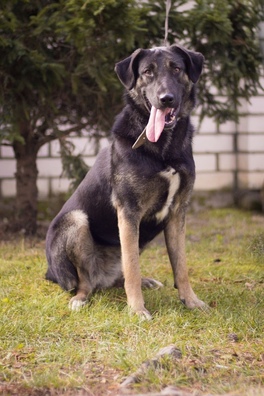 0yey89tnvmk_logo.jpg 0yey89tnvmk_logo.jpg