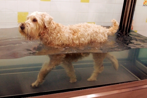 1.bp.blogspot.com___sykwiransnm_uj_47491e9a79a41bebe1e941f70a1d1d93.jpeg 1.bp.blogspot.com___sykwiransnm_uj_47491e9a79a41bebe1e941f70a1d1d93.jpeg