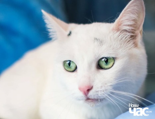 100633225_4145529055487085_7696970905016074240_n_logo.jpg 100633225_4145529055487085_7696970905016074240_n_logo.jpg