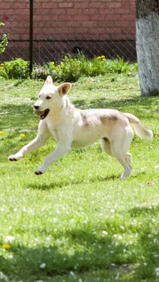 100930236_3776078605798836_8186308962979676160_n_logo.jpg 100930236_3776078605798836_8186308962979676160_n_logo.jpg