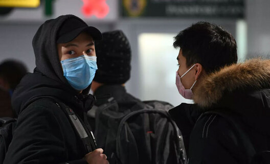 103_virus.jpg 103_virus.jpg
