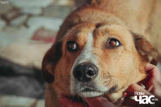 104594009_150883536516365_2983035401143567411_n_logo.jpg 104594009_150883536516365_2983035401143567411_n_logo.jpg