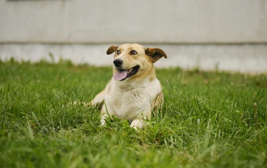 104657582_150883456516373_3498933870579672241_n_logo.jpg 104657582_150883456516373_3498933870579672241_n_logo.jpg