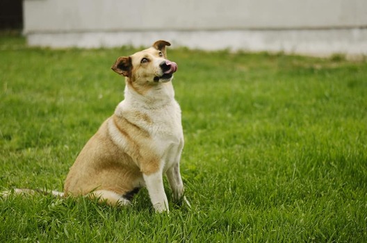 104666222_150883413183044_6674483330534301747_n_logo.jpg 104666222_150883413183044_6674483330534301747_n_logo.jpg