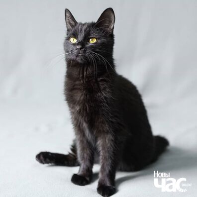 104717924_4277812075592115_3446741567589811173_o_logo.jpg 104717924_4277812075592115_3446741567589811173_o_logo.jpg