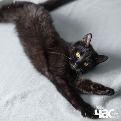 105389812_4277812132258776_6508124045512717957_o_logo.jpg 105389812_4277812132258776_6508124045512717957_o_logo.jpg