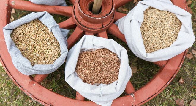 Расія спрабавала прадаць скрадзенае ўкраінскае збожжа Расія спрабавала прадаць скрадзенае ўкраінскае збожжа