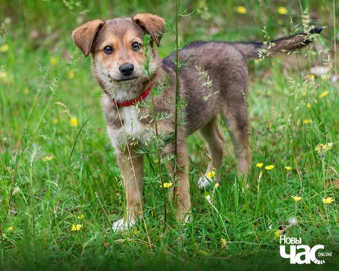 105962971_2164064450406128_7913652338694842609_o_logo.jpg 105962971_2164064450406128_7913652338694842609_o_logo.jpg