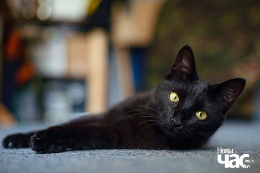 106205468_3368413333208897_2980465310988255576_o_logo.jpg 106205468_3368413333208897_2980465310988255576_o_logo.jpg