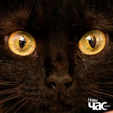 106233852_4313321165374539_5952851738732429902_n_logo.jpg 106233852_4313321165374539_5952851738732429902_n_logo.jpg