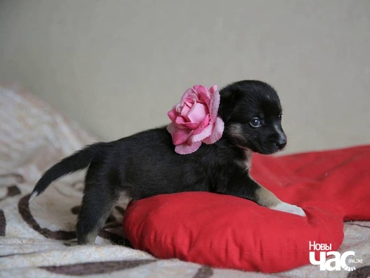 106279364_1187711798249067_7092200578001766445_n_logo.jpg 106279364_1187711798249067_7092200578001766445_n_logo.jpg