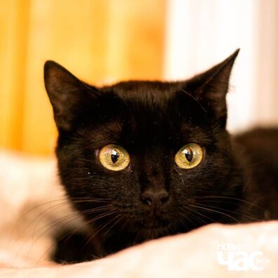 106489603_4313321378707851_5859732343105605547_o_logo.jpg 106489603_4313321378707851_5859732343105605547_o_logo.jpg