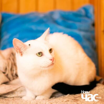 106910906_4323048557735133_4972319781179522753_o_logo.jpg 106910906_4323048557735133_4972319781179522753_o_logo.jpg