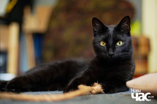 107084287_3368413419875555_6284169332298750157_o_logo.jpg 107084287_3368413419875555_6284169332298750157_o_logo.jpg