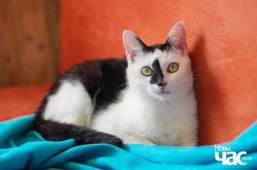 107266091_3377473562302874_521301633296270226_o_logo.jpg 107266091_3377473562302874_521301633296270226_o_logo.jpg