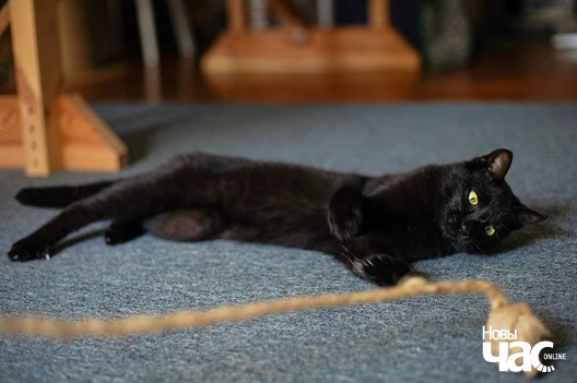 107374373_3368413296542234_5006674586778099818_o_logo.jpg 107374373_3368413296542234_5006674586778099818_o_logo.jpg