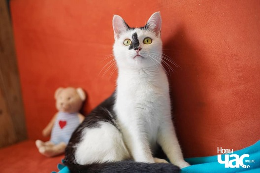 107567223_3377473442302886_69612482085767148_o_logo.jpg 107567223_3377473442302886_69612482085767148_o_logo.jpg