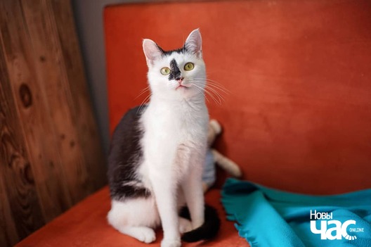 108066500_3377473628969534_2063397752125015409_o_logo.jpg 108066500_3377473628969534_2063397752125015409_o_logo.jpg