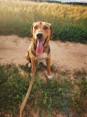 3/5 108220641_819249368479719_2814035796715693960_n_logo.jpg