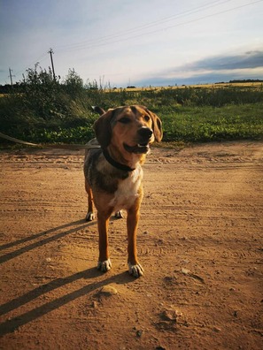 108227431_819249285146394_6615059778278914357_n_logo.jpg 108227431_819249285146394_6615059778278914357_n_logo.jpg