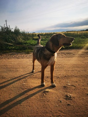 108288218_819249261813063_6804270491788748152_n_logo.jpg 108288218_819249261813063_6804270491788748152_n_logo.jpg