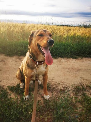 1/5 108586423_819249335146389_7300588379385713459_n_logo.jpg