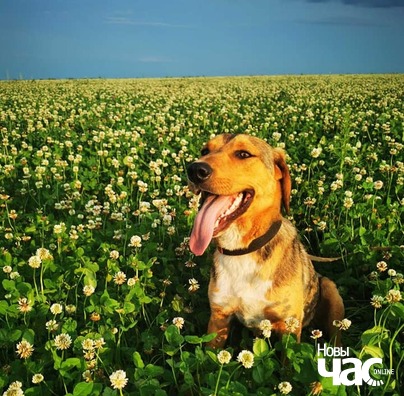 109461028_819249408479715_1318779889428114062_n__1__logo.jpg 109461028_819249408479715_1318779889428114062_n__1__logo.jpg