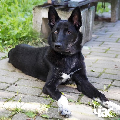 110145566_1707170242772948_4385355312741191356_n_logo.jpg 110145566_1707170242772948_4385355312741191356_n_logo.jpg