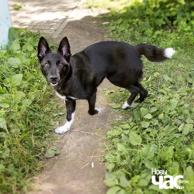 110189174_1707170306106275_8081230145240665102_n_logo.jpg 110189174_1707170306106275_8081230145240665102_n_logo.jpg