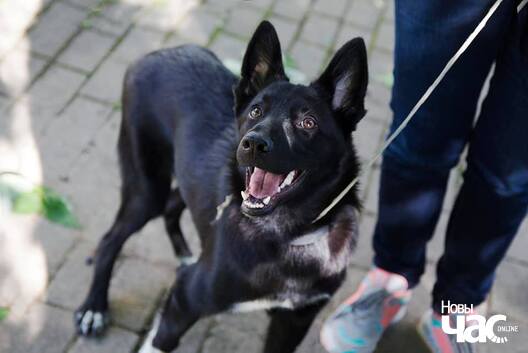 114757562_1707170269439612_6975061282097926682_n_logo.jpg 114757562_1707170269439612_6975061282097926682_n_logo.jpg