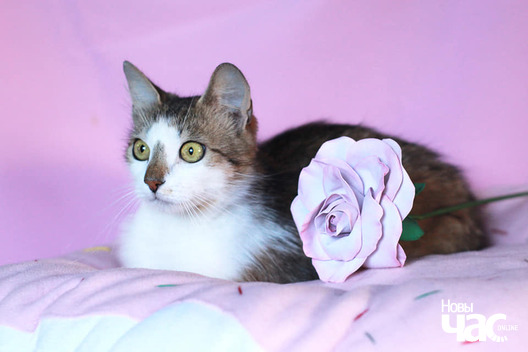 116903306_1550664108439492_5375822335683266699_n_logo.jpg 116903306_1550664108439492_5375822335683266699_n_logo.jpg