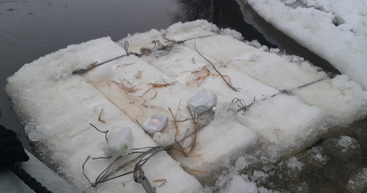 Тры «крыгі» з беларускіх цыгарэт прыплылі ў Літву