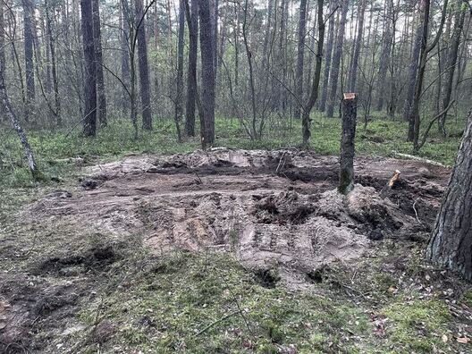 Месца падзення ракеты пад Быдгашчам. Фота польскіх медыя Месца падзення ракеты пад Быдгашчам. Фота польскіх медыя