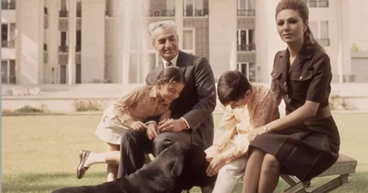 У Іране хочуць забараніць трымаць хатніх жывёл