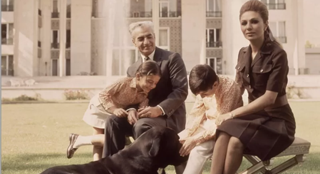 У Іране хочуць забараніць трымаць хатніх жывёл Уладальніка — у турму, гадаванца — канфіскаваць. У Іране забараняюць усіх хатніх жывёл