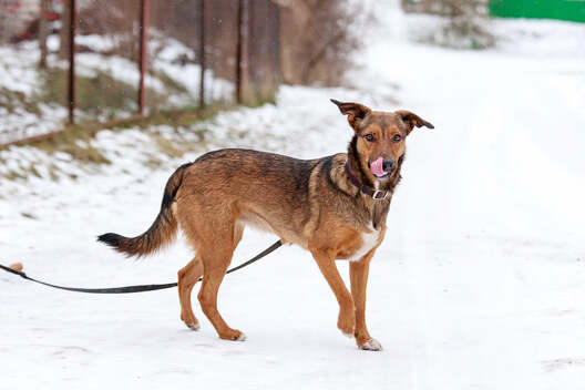 131236711_3356459364481586_4342182020088585891_o.jpg 131236711_3356459364481586_4342182020088585891_o.jpg