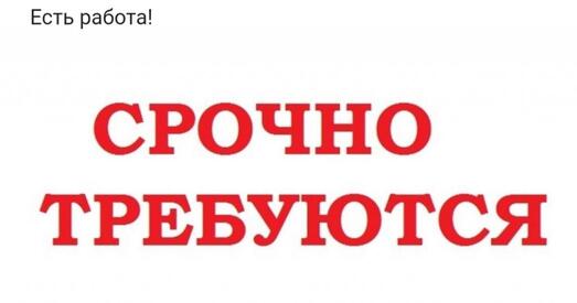 У Беларусі за 10 гадоў знік «цэлы абласны цэнтр» занятых у эканоміцы