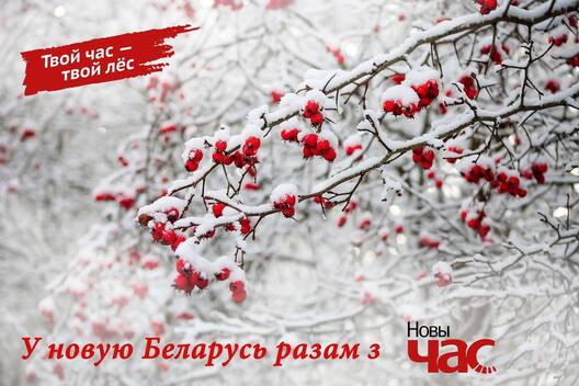 143555827_229193005467363_1117398890580068596_n.jpg 143555827_229193005467363_1117398890580068596_n.jpg