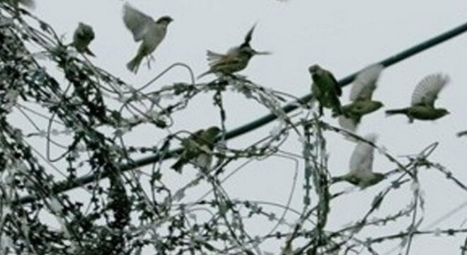 Турма і воля: культурны абмен Турма і воля: культурны абмен