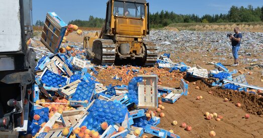 Беларусь — галоўная крыніца санкцыйных прадуктаў, знішчаных у Расіі